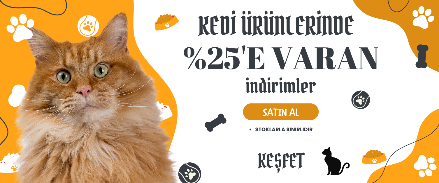 Kedi Kampanya