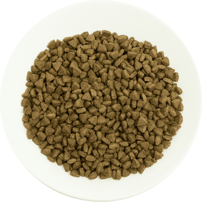 Petcadde | Evcil Dostlarınız İçin Mama ve Ürünler