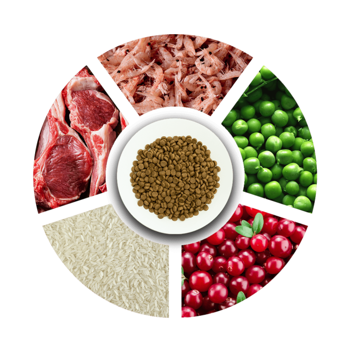 Petcadde | Evcil Dostlarınız İçin Mama ve Ürünler