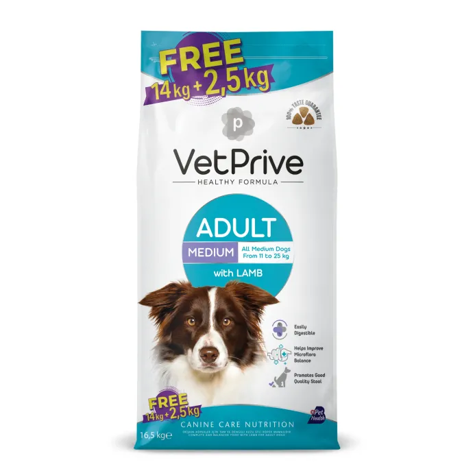 Petcadde | Evcil Dostlarınız İçin Mama ve Ürünler