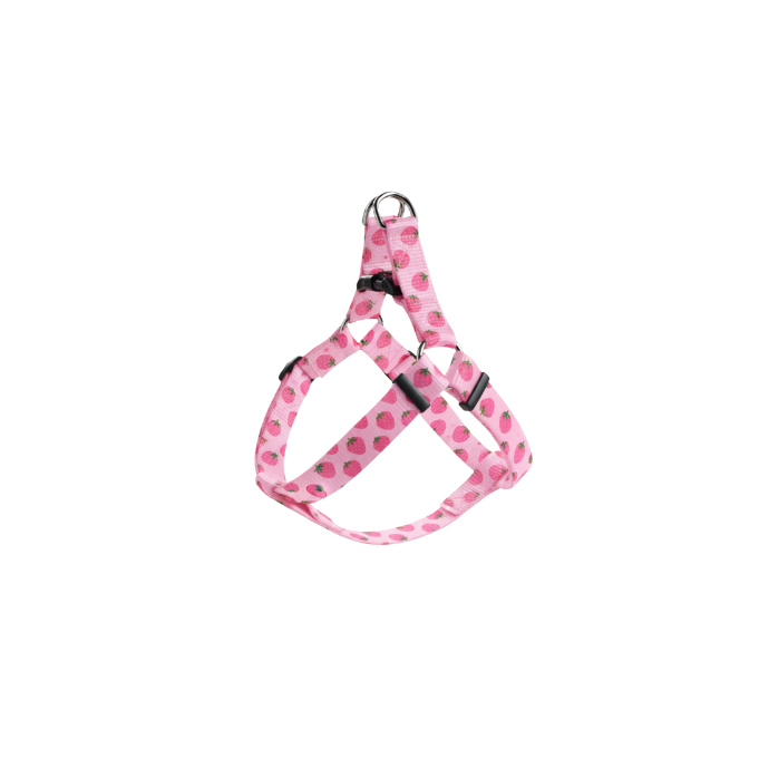 Petcadde | Evcil Dostlarınız İçin Mama ve Ürünler