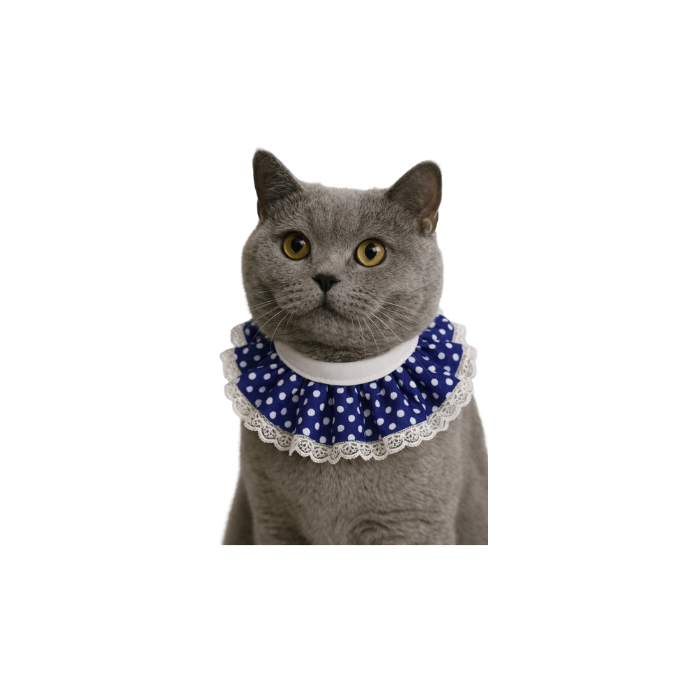 Petcadde | Evcil Dostlarınız İçin Mama ve Ürünler