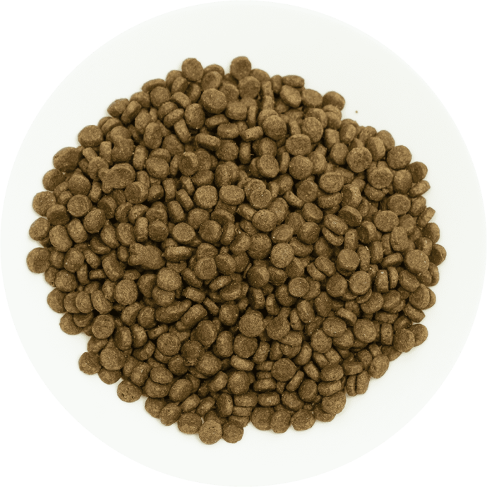 Petcadde | Evcil Dostlarınız İçin Mama ve Ürünler