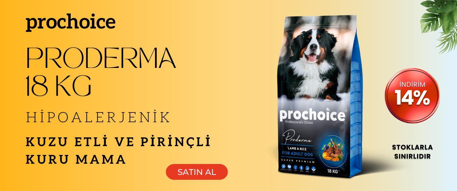 Prochoice Köpek