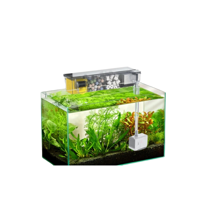 Petcadde | Evcil Dostlarınız İçin Mama ve Ürünler