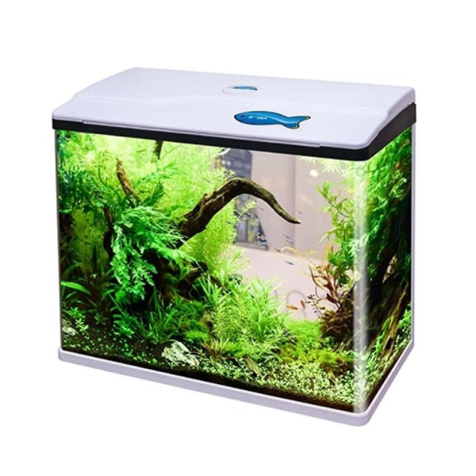 Petcadde | Evcil Dostlarınız İçin Mama ve Ürünler