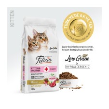 Felicia Kitten & Mother Care Kuzulu Anne ve Yavru Kedi Maması 12 Kg