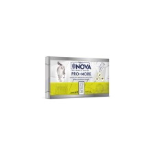  Nova Kedi Ense Damlası