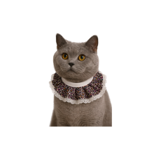 Coco Pet Prenses Yaka