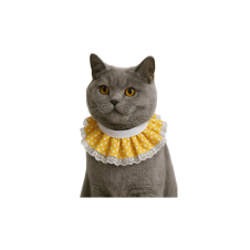 Coco Pet Prenses Yaka