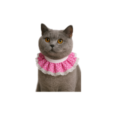 Coco Pet Prenses Yaka
