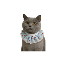 Coco Pet Prenses Yaka