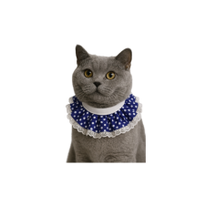 Coco Pet Prenses Yaka